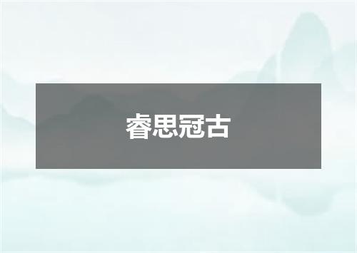 睿思冠古