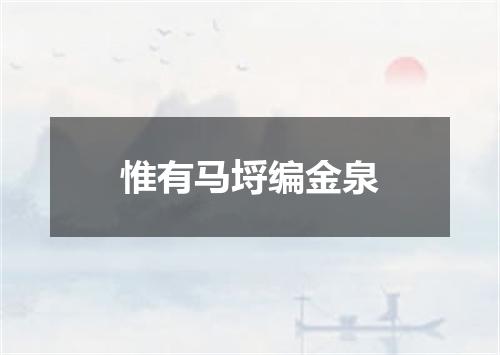 惟有马埒编金泉