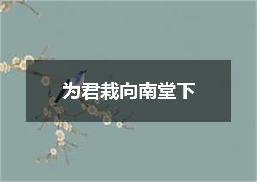 为君栽向南堂下