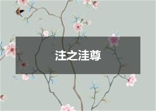 注之洼尊