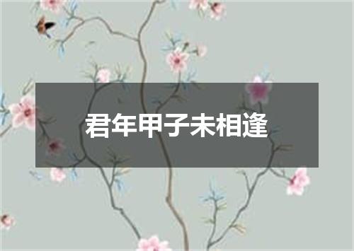 君年甲子未相逢