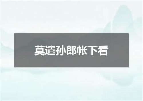 莫遣孙郎帐下看
