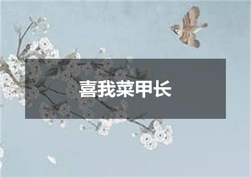 喜我菜甲长