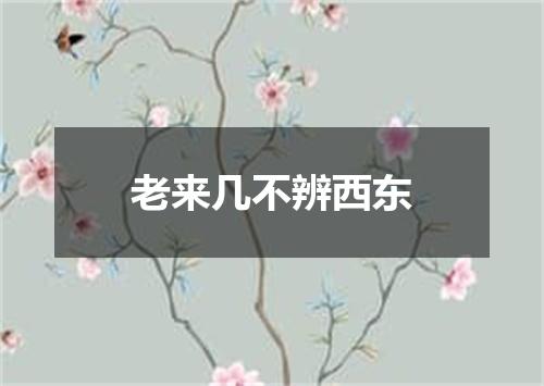 老来几不辨西东
