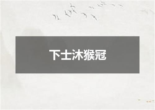 下士沐猴冠