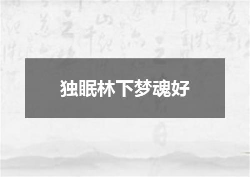 独眠林下梦魂好