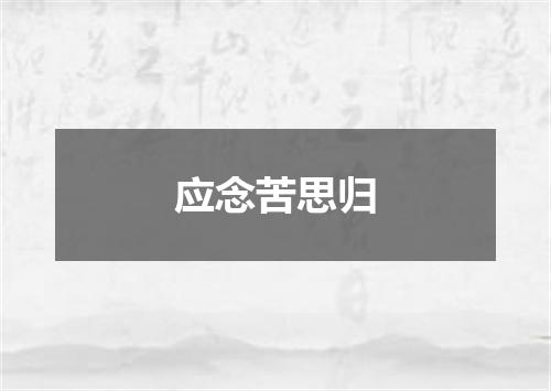应念苦思归