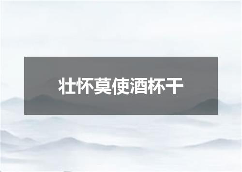 壮怀莫使酒杯干