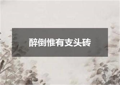醉倒惟有支头砖