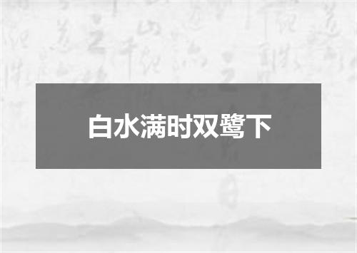 白水满时双鹭下