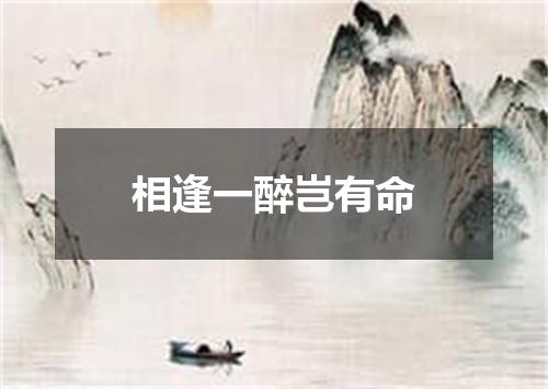 相逢一醉岂有命