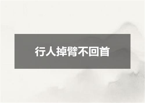 行人掉臂不回首