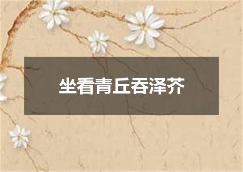 坐看青丘吞泽芥