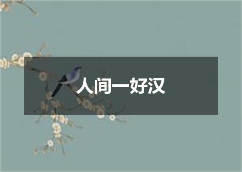 人间一好汉