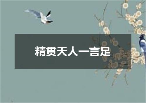 精贯天人一言足