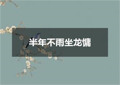 半年不雨坐龙慵
