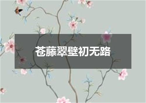 苍藤翠壁初无路