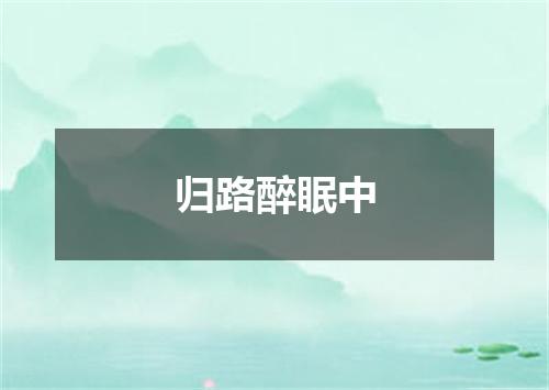 归路醉眠中