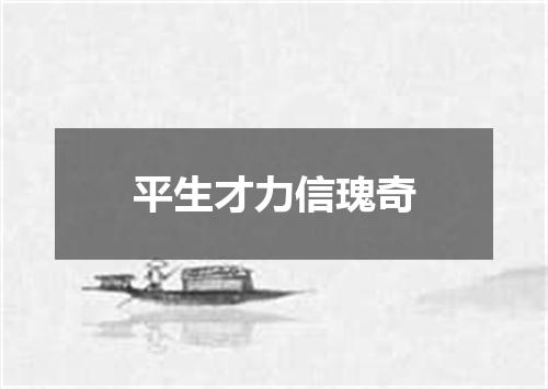 平生才力信瑰奇