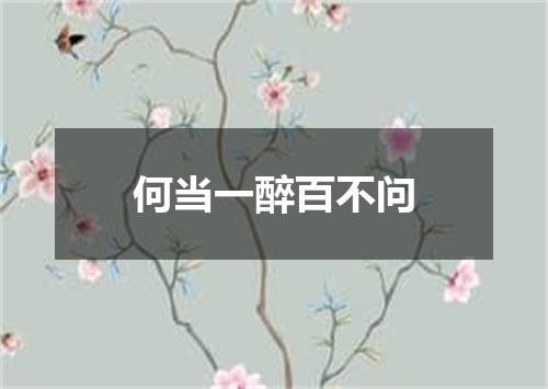 何当一醉百不问