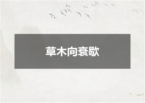 草木向衰歇