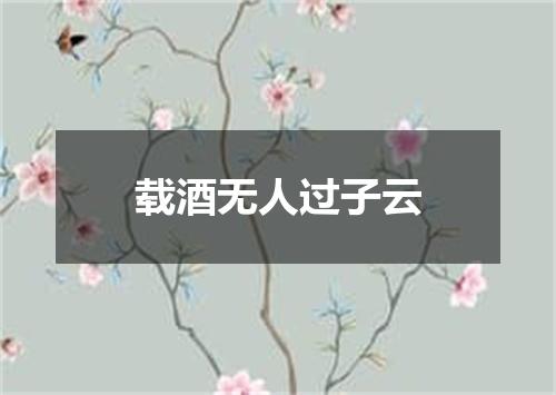 载酒无人过子云