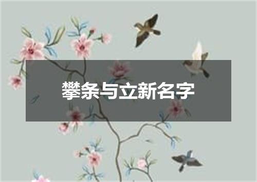 攀条与立新名字