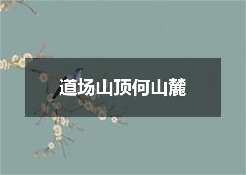道场山顶何山麓