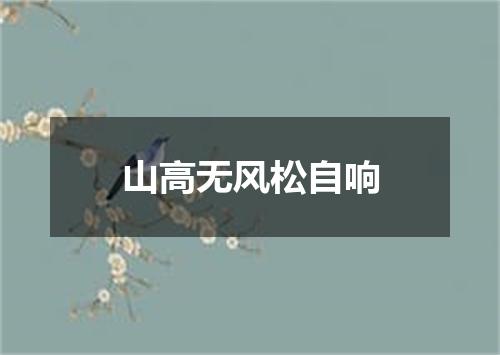 山高无风松自响