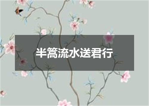 半篙流水送君行