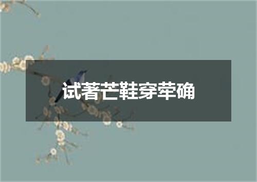 试著芒鞋穿荦确