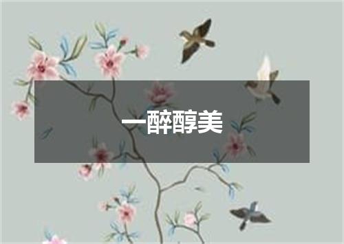一醉醇美
