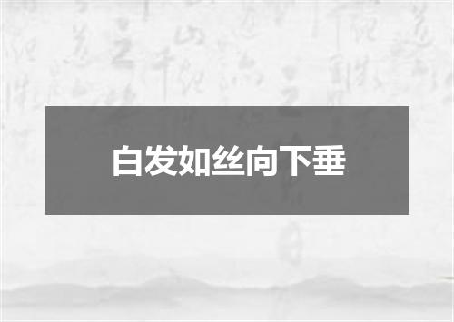 白发如丝向下垂