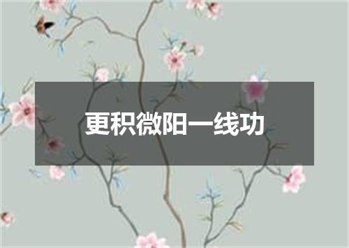 更积微阳一线功