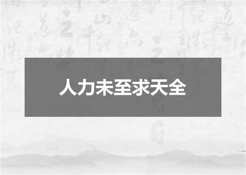 人力未至求天全