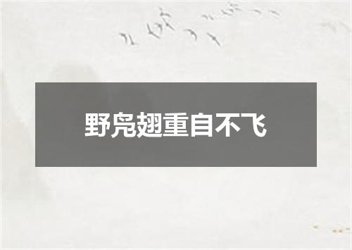 野凫翅重自不飞