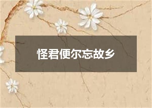 怪君便尔忘故乡