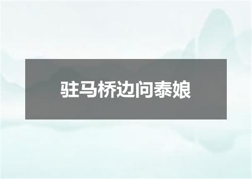驻马桥边问泰娘