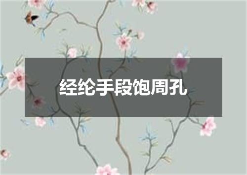 经纶手段饱周孔