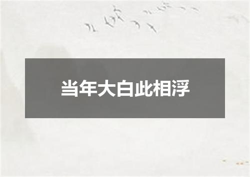 当年大白此相浮