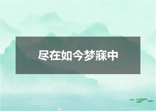 尽在如今梦寐中