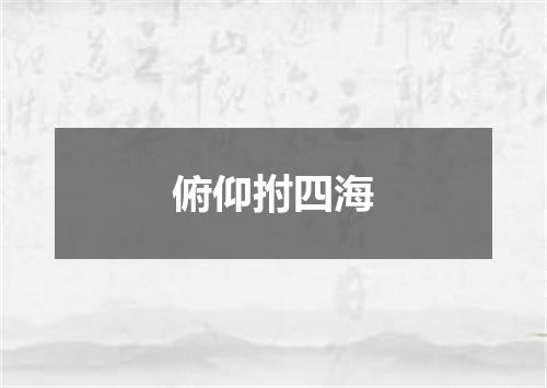 俯仰拊四海
