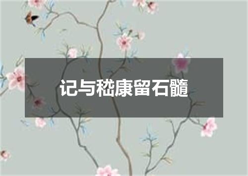 记与嵇康留石髓