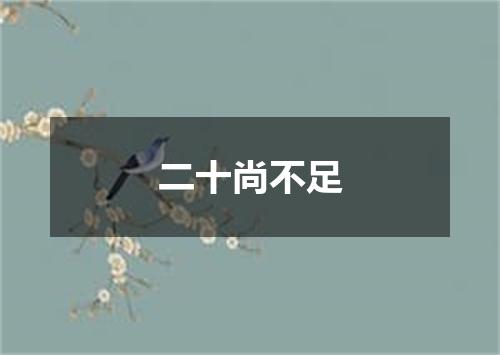 二十尚不足