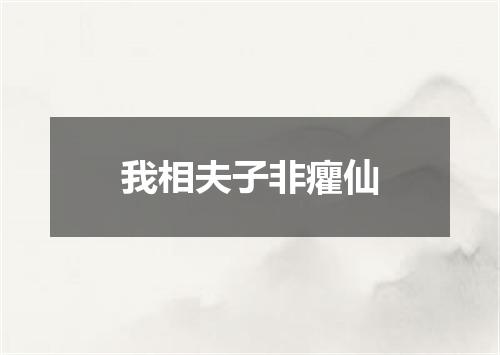 我相夫子非癯仙