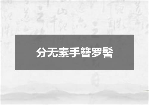 分无素手簪罗髻