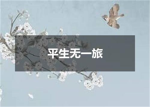平生无一旅