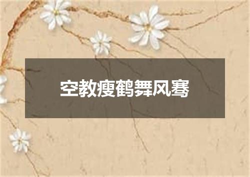 空教瘦鹤舞风骞
