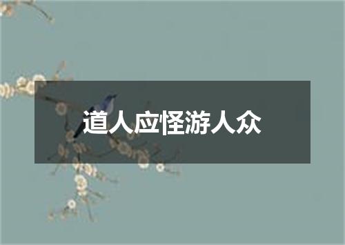 道人应怪游人众