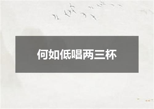 何如低唱两三杯